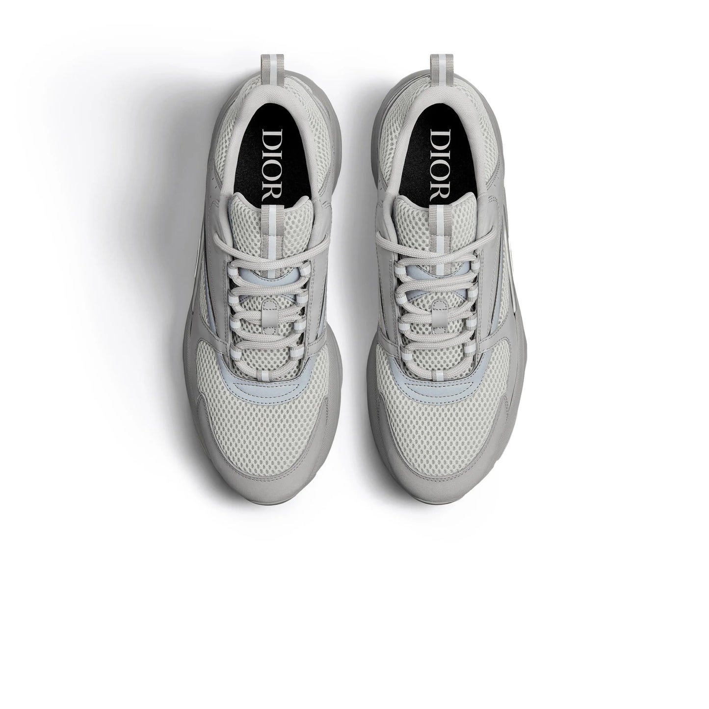 DIOR B22- GRAY