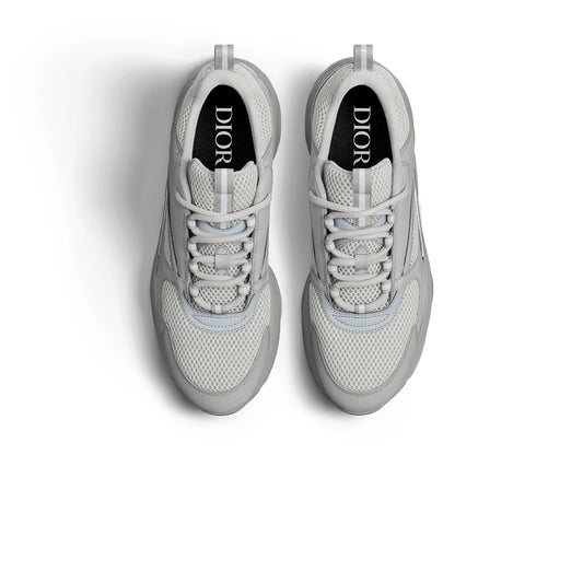 DIOR B22- GRAY