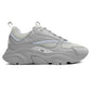 DIOR B22- GRAY