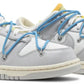 OFF WHITE DUNK- LOT 5