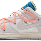 OFF WHITE DUNK- LOT 19