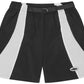 CORTEIZ SPRING SHORTS